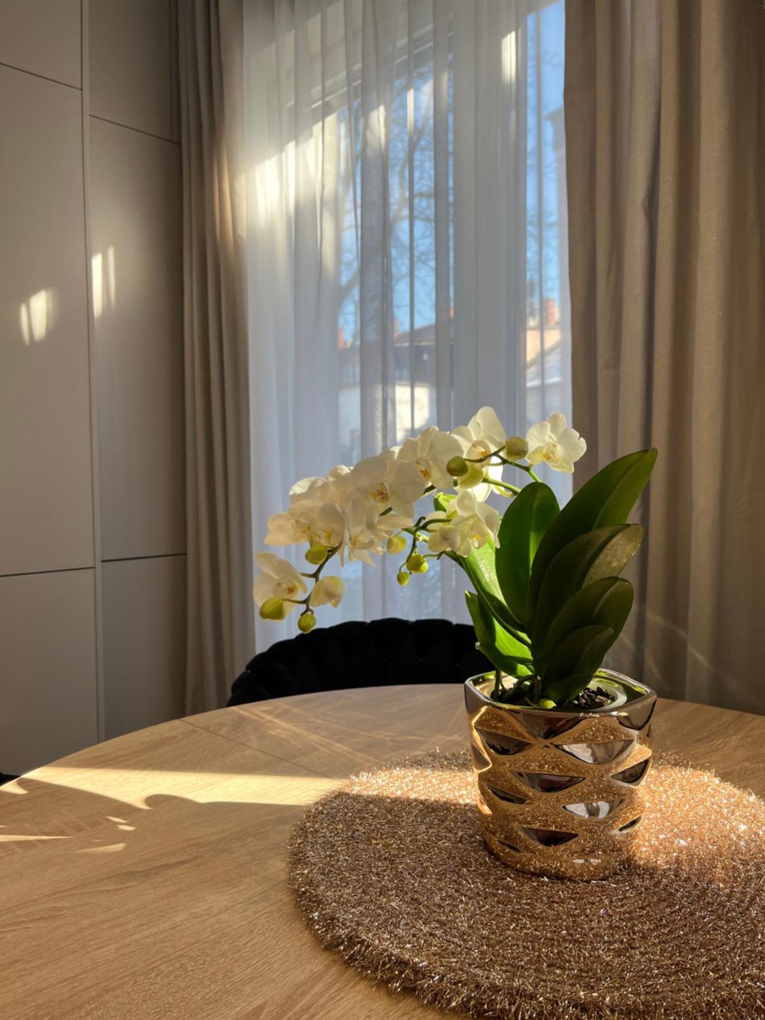 Apartament Kaszmirowy Bielsko-Biała Exterior foto